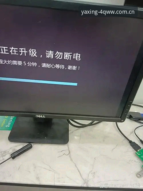 从赔率卡顿说起：一次真实的急停体验